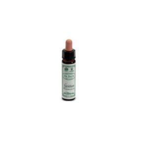 BACH REMEDY n. 12 GENTIAN 10ml