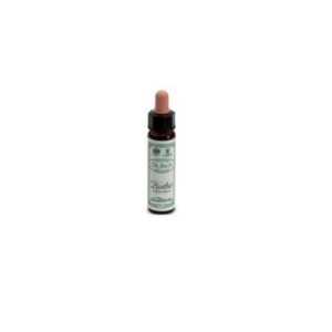BACH REMEDY n. 14 HEATHER 10ml