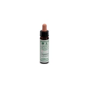 BACH REMEDY n. 18 IMPATIENS 10ml