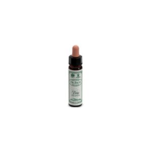 BACH REMEDY n. 24 PINE 10ml