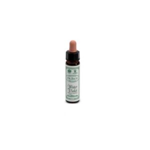 BACH REMEDY n. 34 WATER VIOLET 10ml