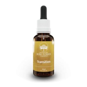 TRANSITION 30 ML
