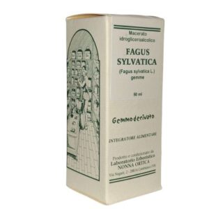 M.G. FAGUS SYLVATICA 50ml
