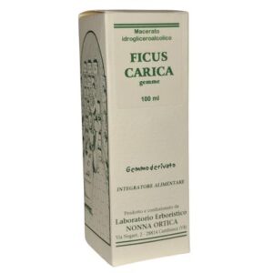 M.G. FICUS CARICA 100ml